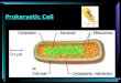 Prokaryotic Cell. Eukaryotic Cell  Autotrophs capture the light energy from sunlight and convert it to chemical energy they use for food.  Heterotrophs