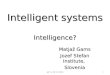 Matjaž Gams Jozef Stefan Institute, Slovenia Intelligent systems Intelligence? MPS, 28.10.20091