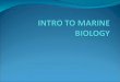 What is marine? Marine biology is the scientific study of the organisms that live in the sea Different disciplines involved overlap Geological oceanography-