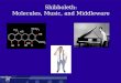 Shibboleth: Molecules, Music, and Middleware. Outline ● Terms ● Problem statement ● Solution space – Shibboleth and Federations ● Description of Shibboleth