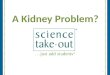 A Kidney Problem? 1. Please complete the “Participant Card” 2