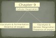 Cellular Respiration Glycolysis & Fermentation Absence of oxygen Glycolysis & Aerobic Respiration Presence of oxygen Chapter 9 1