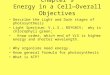Chapter 9 Energy in a Cell—Overall Objectives Describe the Light and Dark stages of photosynthesis Light Spectrum; V.L.S.; ROYGBIV; why is chlorophyll