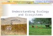 Understanding Ecology and Ecosystems. Next Generation Science/Common Core Standards Addressed! HS ‐ ESS2 ‐ 2.Analyze geoscience data to make the claim