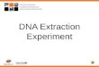 Updated September 2011 DNA Extraction Experiment