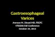 Gastroesophageal Varices Amreen M. Dinani MD, FRCPC VTSGNA Fall Conference October 24, 2015