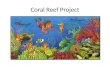 Coral Reef Project. Guided Inquiry Collaboration: Library Media Specialist Reading Specialist Science Specialist Guest author 5 th grade students will