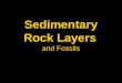 Sedimentary Rock Layers and Fossils. Fault Near Parhump, Nevada April, 1978