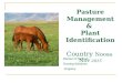 Pasture Management & Plant Identification Country Noosa Nov 2015 Damien O’Sullivan Grazing Solutions Kingaroy