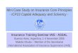Mini Case Study on Insurance Core Principles - ICP23 Capital Adequacy and Solvency - Insurance Training Seminar IAIS - ASSAL Buenos Aires, Argentina, 1-4