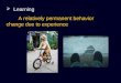 Learning A relatively permanent behavior change due to experience