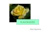 FLAVONOIDS Plant Pigments. PLANT PIGMENTS Flavonoids and anthocyanins are conspicuous plant pigments in nature that are responsible for the beauty and