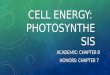 CELL ENERGY: PHOTOSYNTHE SIS ACADEMIC: CHAPTER 8 HONORS: CHAPTER 7