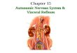 Autonomic Nervous System & Visceral Reflexes Chapter 15 Autonomic Nervous System & Visceral Reflexes