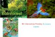 BY: Demetria Presley & Laura Lopez. GENERAL INFORMATION tropical rainforest is a biome type that occurs roughly within the latitudes 28 degrees north