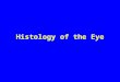 Histology of the Eye. Objectives By the end of this lecture, the student should be able to describe: – –The general structure of the eye. – –The microscopic