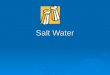 Salt Water. Properties of Salt Water  Salinity is the amount of dissolved salts in water  The salinity of the oceans averages 35 ppt (parts per thousand)