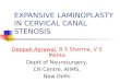 EXPANSIVE LAMINOPLASTY IN CERVICAL CANAL STENOSIS Deepak Agrawal, B S Sharma, V S Mehta Deptt of Neurosurgery, CN Centre, AIIMS, New Delhi