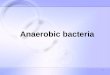 1 Anaerobic bacteria. 2 spore-forming anaerobes Clostridium G + non-spore-forming anaerobes G +, G - cocci, bacilli Classification