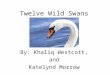 Twelve Wild Swans By: Khaliq Westcott, and Katelynd Morrow