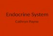 Endocrine System Cathryn Payne. Function The endocrine system regulates the body by forming or giving off hormones into the bloodstream. The endocrine