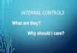 INTERNAL CONTROLS What are they? Why should I care?