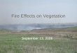 Fire Effects on Vegetation September 13, 2006. Tallgrass Prairie: TTYP First, think to yourself. Write down any causes, effects, and mechanisms that explain