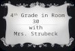 4 TH GRADE IN ROOM 30 WITH MRS. STRUBECK. BACKGROUND  Danielle Strubeck  Family of teachers  Previous Experience Harvey Green Elementary, Fremont (2
