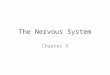 The Nervous System Chapter 9. Nervous System The master controlling and communicating system of the body Functions: – Sensory input – monitoring stimuli