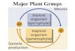 Major Plant Groups Group 1: Seedless, Nonvascular Plants Live in moist environments –N–Need water to reproduce Grow low to ground (nonvascular) Lack