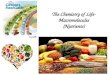 The Chemistry of Life- Macromolecules (Nutrients)
