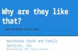 Why are they like that? Westbrook Youth and Family Services, Inc. Macdara MacColl, LMFT, Clinical Director Meet the Middle School Brain
