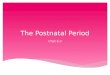 The Postnatal Period Chpt 6.3.  Emotional ties happen immediately  Mothers go through emotional changes and it is important that they get the support