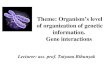 Theme: Organism’s level of organization of genetic information. Gene interactions Lecturer: ass. prof. Tatyana Bihunyak