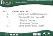 Go to Section: 8–1 Energy and Life A.Autotrophs and Heterotrophs B.Chemical Energy and ATP 1.Storing Energy 2.Releasing Energy C.Using Biochemical Energy