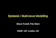 Epistasis / Multi-locus Modelling Shaun Purcell, Pak Sham SGDP, IoP, London, UK