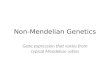 Non-Mendelian Genetics Gene expression that varies from typical Mendelian ratios