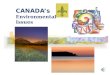 CANADA’s Environmental Issues Environmental Issues Acid Rain Pollution of Great Lakes Extraction and use of Natural resources on Canadian Shield Timber