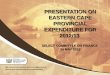 PRESENTATION ON EASTERN CAPE PROVINCIAL EXPENDITURE FOR 2012/13 SELECT COMMITTEE ON FINANCE 14 MAY 2013 1