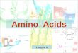 M. Zaharna Clin. Chem. 2015 Amino Acids Lecture 5 1