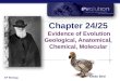 Chapter 24/25 Evidence of Evolution Geological, Anatomical, Chemical, Molecular Dodo bird