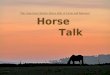 Horse Talk The American Quarter Horse Hall of Fame and Museum