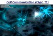 Cell Communication (Chpt. 11) Chapter 11. Overview of Cell Signaling Signaling evolved early in history of life Communicating cells may be close together