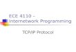 ECE 4110 – Internetwork Programming TCP/IP Protocol