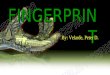 FINGERPRINT By: Velarde, Peter D.. Fingerprinting Is a method of identification of an individual through the use of the impression made by the ridge formation