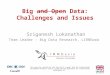 Big and Open Data: Challenges and Issues Sriganesh Lokanathan Team Leader – Big Data Research, LIRNEasia This work was carried out with the aid of a grant