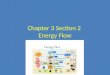 Chapter 3 Section 2 Energy Flow. Producers… Sunlight is the main energy source for life on Earth. – Less than 1% of the sun’s energy that reaches Earth