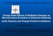 1 Russian Research Center” Kurchatov Institute” Alexander Ryazanov Charge State Effects of Radiation Damage on Microstructure Evolution in Dielectric Materials