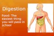 Digestion Food: The easiest thing you will pass in school