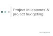 Project Milestones & project budgeting Morning session